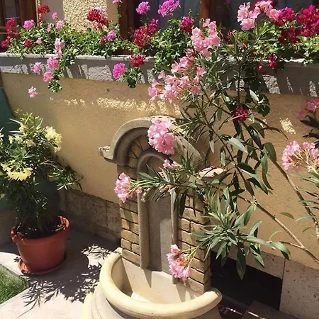 Homestay szállás Paradise *