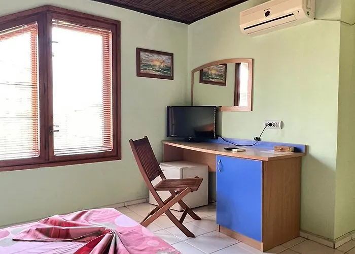 Paradise * Черноморец