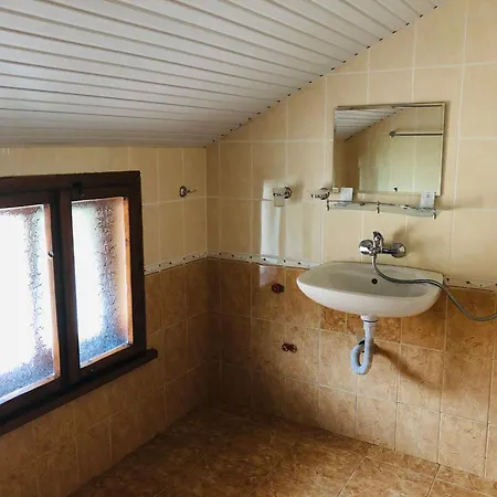 Paradise Проживание в семье
