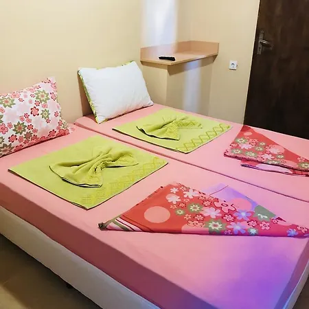 Paradise Проживание в семье