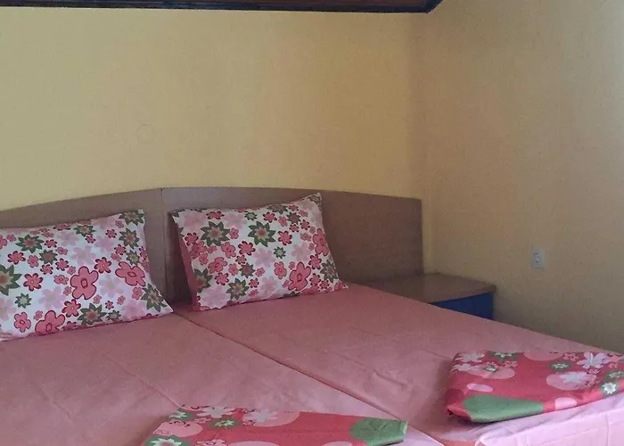 Séjour chez l'habitant Paradise Tchernomorets